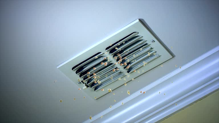 Best HVAC System Cleaning  in Gardner, KS