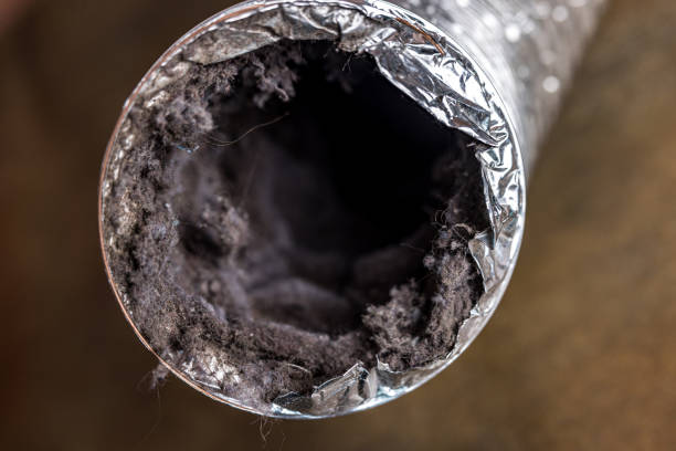 Best Professional Duct Cleaning Services  in Gardner, KS